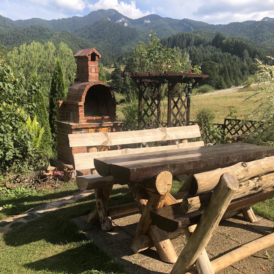 Hot Tub Chalet Retreat Villa Braşov Eksteriør bilde