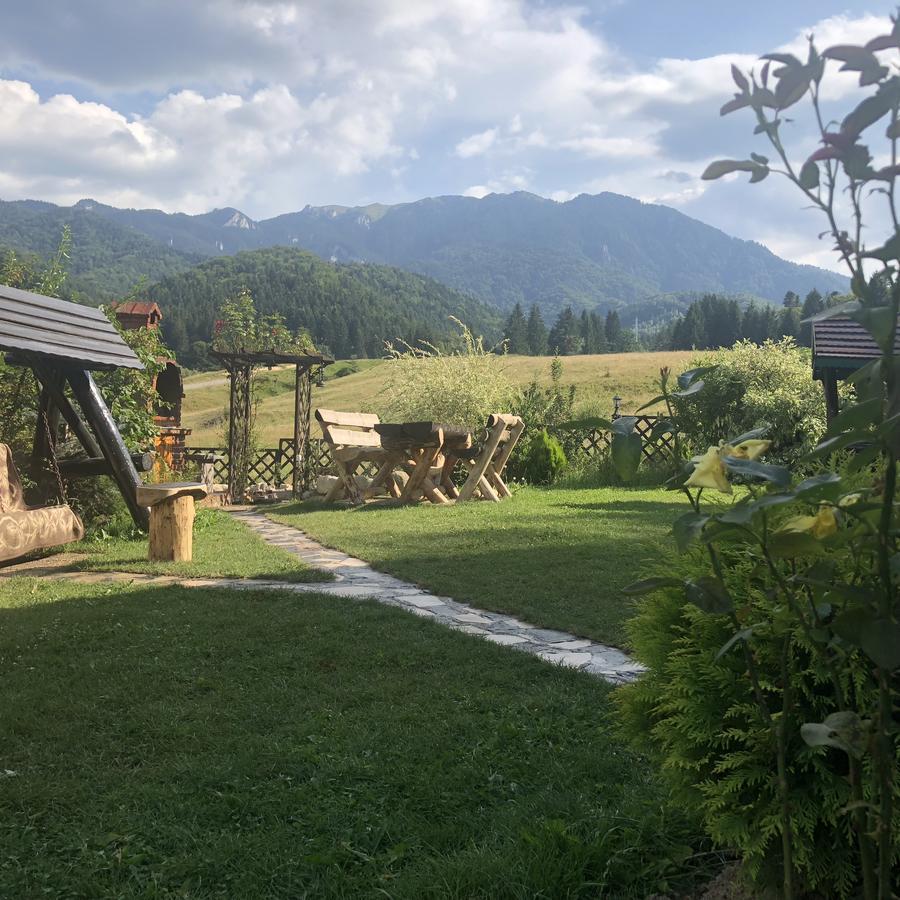Hot Tub Chalet Retreat Villa Braşov Eksteriør bilde