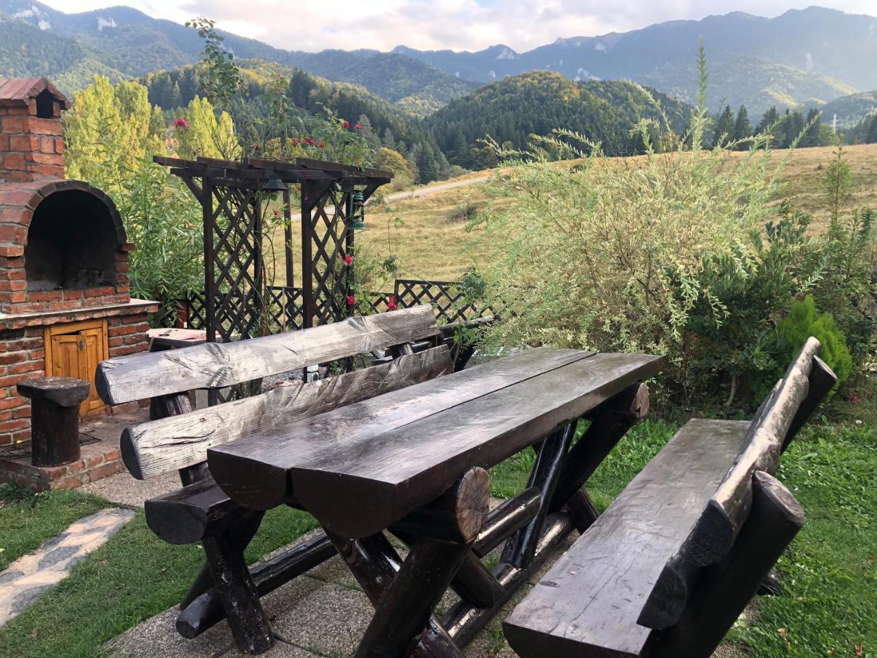 Hot Tub Chalet Retreat Villa Braşov Eksteriør bilde